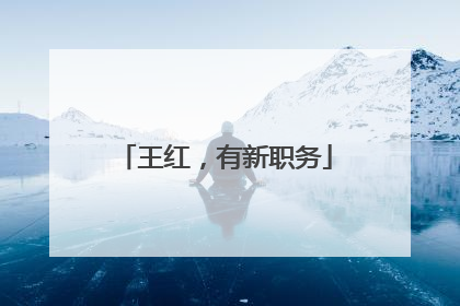 王红，有新职务