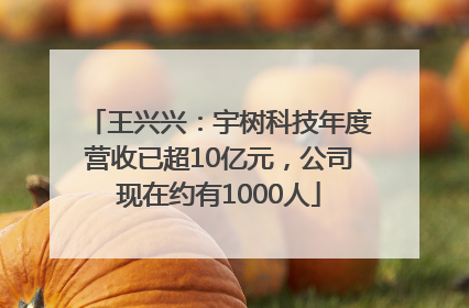 王兴兴：宇树科技年度营收已超10亿元，公司现在约有1000人