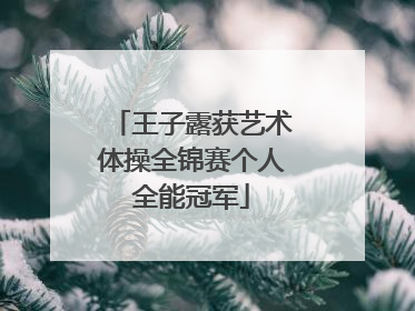 王子露获艺术体操全锦赛个人全能冠军