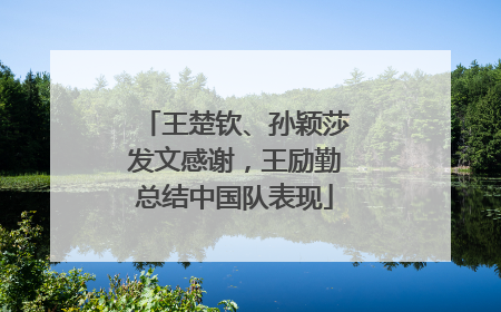 王楚钦、孙颖莎发文感谢，王励勤总结中国队表现