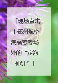 现场直击丨郑州航空港高考考场外的“定海神针”