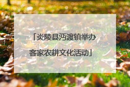 炎陵县沔渡镇举办客家农耕文化活动