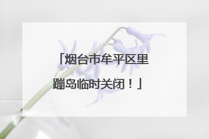 烟台市牟平区里蹦岛临时关闭！