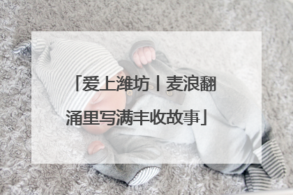 爱上潍坊丨麦浪翻涌里写满丰收故事