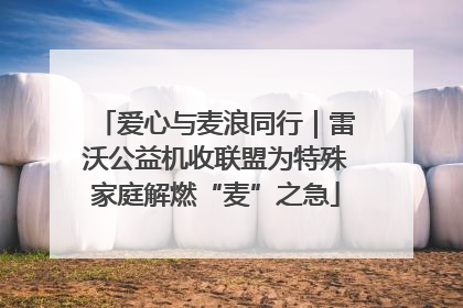 爱心与麦浪同行｜雷沃公益机收联盟为特殊家庭解燃“麦”之急