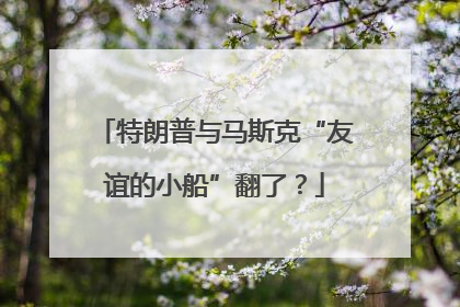 特朗普与马斯克“友谊的小船”翻了？