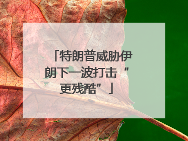 特朗普威胁伊朗下一波打击“更残酷”