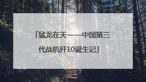 猛龙在天——中国第三代战机歼10诞生记