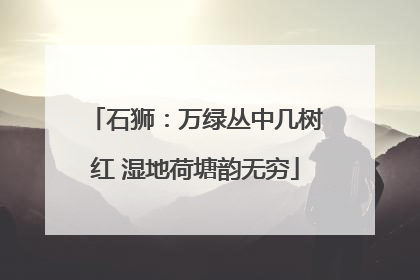 石狮：万绿丛中几树红 湿地荷塘韵无穷