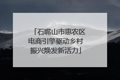 石嘴山市惠农区电商引擎驱动乡村振兴焕发新活力