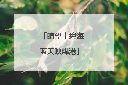 瞭望丨碧海蓝天映煤港