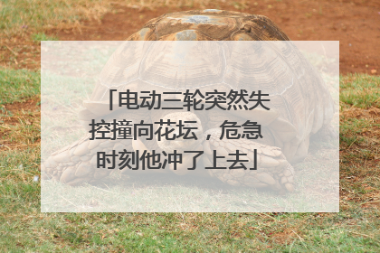 电动三轮突然失控撞向花坛，危急时刻他冲了上去
