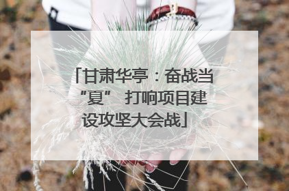 甘肃华亭：奋战当“夏” 打响项目建设攻坚大会战