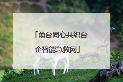 甬台同心共织台企智能急救网