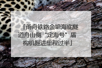 甬舟铁路金塘海底隧道舟山侧“定海号”盾构机掘进里程过半