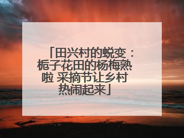 田兴村的蜕变：栀子花田的杨梅熟啦 采摘节让乡村热闹起来
