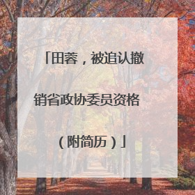 田蓉，被追认撤销省政协委员资格（附简历）