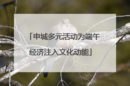 申城多元活动为端午经济注入文化动能