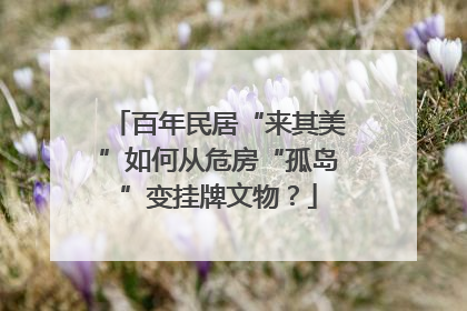 百年民居“来其美”如何从危房“孤岛”变挂牌文物？