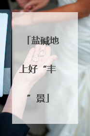 盐碱地上好“丰”景