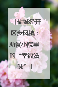 盐城经开区步凤镇：助餐小院里的“幸福滋味”