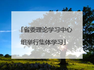 省委理论学习中心组举行集体学习