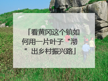 看黄冈这个镇如何用一片叶子“沏”出乡村振兴路