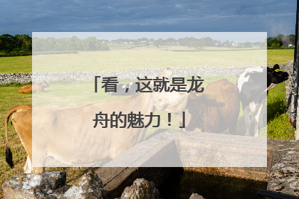 看，这就是龙舟的魅力！