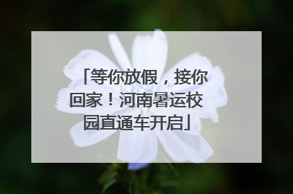 等你放假，接你回家！河南暑运校园直通车开启