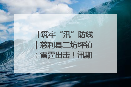 筑牢“汛”防线｜慈利县二坊坪镇：雷霆出击！汛期捕鱼被紧急叫停