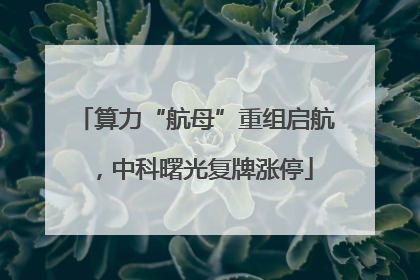 算力“航母”重组启航，中科曙光复牌涨停