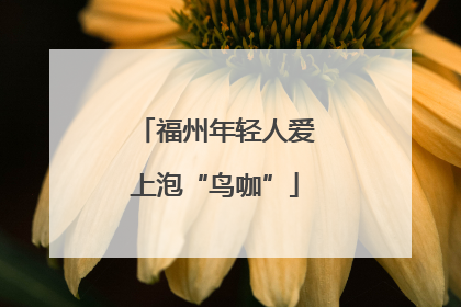 福州年轻人爱上泡“鸟咖”