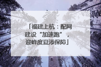 福建上杭：配网建设“加速跑”，迎峰度夏添保障