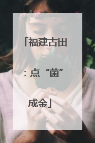 福建古田：点“菌”成金