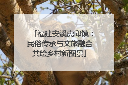 福建安溪虎邱镇：民俗传承与文旅融合共绘乡村新图景