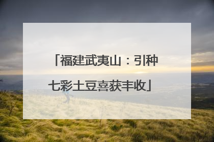 福建武夷山：引种七彩土豆喜获丰收
