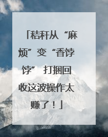 秸秆从“麻烦”变“香饽饽” 打捆回收这波操作太赚了！