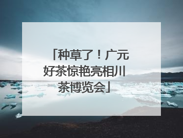 种草了！广元好茶惊艳亮相川茶博览会