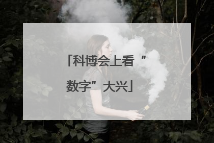 科博会上看“数字”大兴