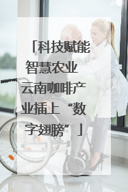 科技赋能智慧农业 云南咖啡产业插上“数字翅膀”