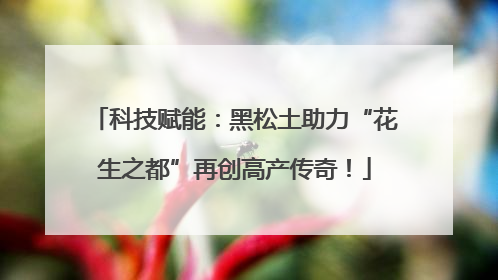 科技赋能：黑松土助力“花生之都”再创高产传奇！