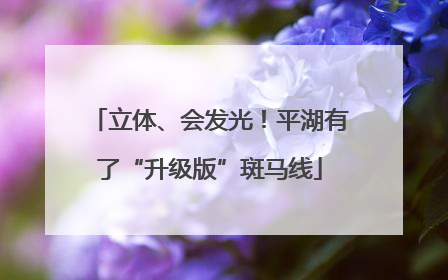 立体、会发光！平湖有了“升级版”斑马线