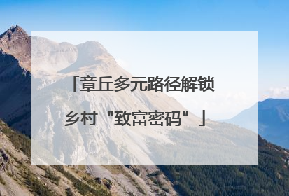 章丘多元路径解锁乡村“致富密码”