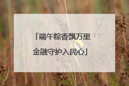 端午粽香飘万里 金融守护入民心