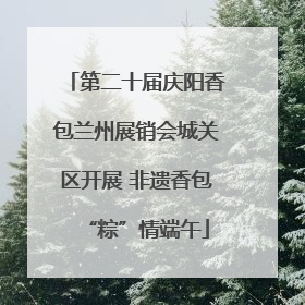 第二十届庆阳香包兰州展销会城关区开展 非遗香包“粽”情端午