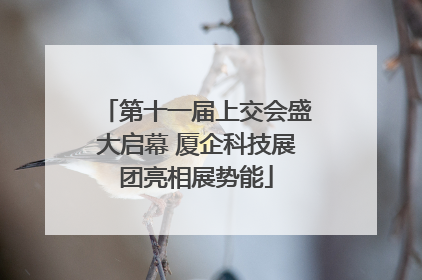 第十一届上交会盛大启幕 厦企科技展团亮相展势能