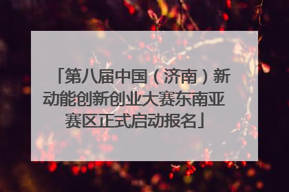 第八届中国（济南）新动能创新创业大赛东南亚赛区正式启动报名