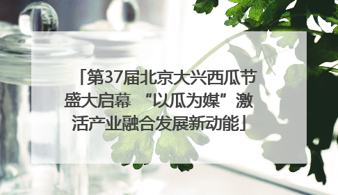 第37届北京大兴西瓜节盛大启幕 “以瓜为媒”激活产业融合发展新动能