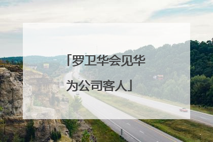 罗卫华会见华为公司客人