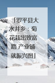 罗平县大水井乡：菊花栽出致富路 产业铺就振兴图
